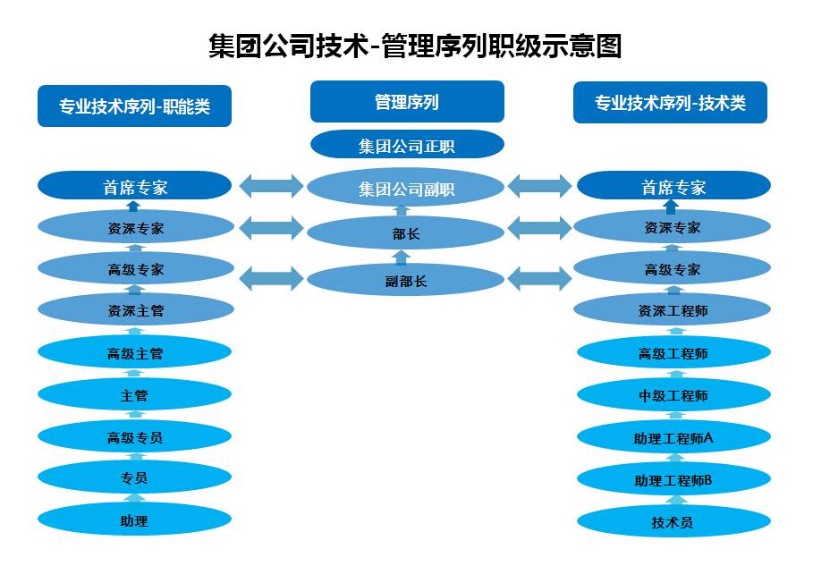 2024新澳门网站资料酷知